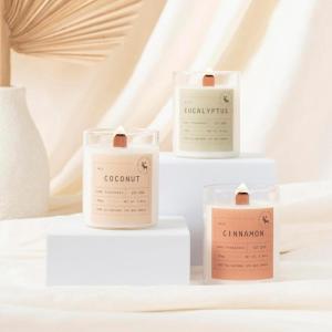 imageMONDAY MOOSE Scented Candle Gift Set 564oz Each 3Pack AllNatural Soy Wax Candle Set with Essential Oils for Home Mom Women Birthday Gift CoconutEucalyptusCinnamon Small JarCoconutEucalyptusCinnamon
