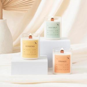 imageMONDAY MOOSE Scented Candle Gift Set 564oz Each 3Pack AllNatural Soy Wax Candle Set with Essential Oils for Home Mom Women Birthday Gift CoconutEucalyptusCinnamon Small JarVerbenaOrangeSea Salt