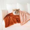 imageMONDAY MOOSE Cozy Fleece Throw Blanket with Pom Pom Fringe Super Soft Lightweight Blanket DoubleSided Designs for Couch Bed Sofa Home Decor 50x60 inch Slate GrayPastel BlueBurnt OrangeLight Orange