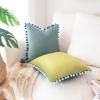 imageMONDAY MOOSE Decorative Throw Pillow Covers Cushion Cases Set of 2 Soft Velvet Pom Poms DoubleSided Designs Mix and Match for Home Decor Pillow Inserts Not Included 18x18 inch GreenBlueGreenBlue