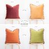 imageMONDAY MOOSE Decorative Throw Pillow Covers Cushion Cases Set of 2 Soft Velvet Pom Poms DoubleSided Designs Mix and Match for Home Decor Pillow Inserts Not Included 18x18 inch GreenBlueYellowGreen