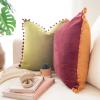 imageMONDAY MOOSE Decorative Throw Pillow Covers Cushion Cases Set of 2 Soft Velvet Pom Poms DoubleSided Designs Mix and Match for Home Decor Pillow Inserts Not Included 18x18 inch GreenBlueYellowGreen