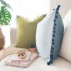 imageMONDAY MOOSE Decorative Throw Pillow Covers Cushion Cases Set of 2 Soft Velvet Pom Poms DoubleSided Designs Mix and Match for Home Decor Pillow Inserts Not Included 18x18 inch GreenBlueGreenBlue