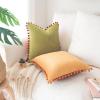 imageMONDAY MOOSE Decorative Throw Pillow Covers Cushion Cases Set of 2 Soft Velvet Pom Poms DoubleSided Designs Mix and Match for Home Decor Pillow Inserts Not Included 18x18 inch GreenBlueYellowGreen