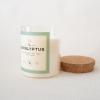 imageMONDAY MOOSE Scented Candle 126oz AllNatural Soy Wax Cotton Wick Candle Glass Jar and Cork Lid with Essential Oils CoconutEucalyptus