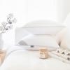 imageMONDAY MOOSE Throw Pillow Inserts Set of 4 White Soft Microfiber Piping Designs Square Pillows for Bed Couch Sofa 4Pack 20x20 inch2pack