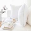 imageMONDAY MOOSE Throw Pillow Inserts Set of 4 White Soft Microfiber Piping Designs Square Pillows for Bed Couch Sofa 4Pack 20x20 inch2pack