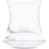 imageMONDAY MOOSE Throw Pillow Inserts Set of 4 White Soft Microfiber Piping Designs Square Pillows for Bed Couch Sofa 4Pack 20x20 inch2pack