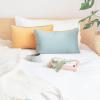 imageMONDAY MOOSE Decorative Throw Pillow Covers Cushion Cases Set of 2 Soft Velvet Modern DoubleSided Designs Mix and Match for Home Decor Pillow Inserts Not Included 14x14 inch OrangeTealOrangeTeal