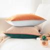 imageMONDAY MOOSE Decorative Throw Pillow Covers Cushion Cases Set of 2 Soft Velvet Modern DoubleSided Designs Mix and Match for Home Decor Pillow Inserts Not Included 14x14 inch OrangeTealOrangeGreen