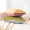 imageMONDAY MOOSE Decorative Throw Pillow Covers Cushion Cases Set of 2 Soft Velvet Modern DoubleSided Designs Mix and Match for Home Decor Pillow Inserts Not Included 14x14 inch OrangeTealPurpleGreen