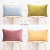 imageMONDAY MOOSE Decorative Throw Pillow Covers Cushion Cases Set of 2 Soft Velvet Modern DoubleSided Designs Mix and Match for Home Decor Pillow Inserts Not Included 14x14 inch OrangeTealPurpleGreen
