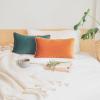 imageMONDAY MOOSE Decorative Throw Pillow Covers Cushion Cases Set of 2 Soft Velvet Modern DoubleSided Designs Mix and Match for Home Decor Pillow Inserts Not Included 14x14 inch OrangeTealOrangeGreen