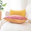 imageMONDAY MOOSE Decorative Throw Pillow Covers Cushion Cases Set of 2 Soft Velvet Modern DoubleSided Designs Mix and Match for Home Decor Pillow Inserts Not Included 14x14 inch OrangeTealYellowPink