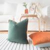 imageMONDAY MOOSE Decorative Throw Pillow Covers Cushion Cases Set of 2 Soft Velvet Modern DoubleSided Designs Mix and Match for Home Decor Pillow Inserts Not Included 14x14 inch OrangeTealOrangeGreen