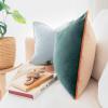 imageMONDAY MOOSE Decorative Throw Pillow Covers Cushion Cases Set of 2 Soft Velvet Modern DoubleSided Designs Mix and Match for Home Decor Pillow Inserts Not Included 14x14 inch OrangeTealOrangeGreen
