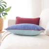 imageMONDAY MOOSE Decorative Throw Pillow Covers Cushion Cases Set of 2 Soft Velvet Modern DoubleSided Designs Mix and Match for Home Decor Pillow Inserts Not Included 14x14 inch OrangeTealPurpleBlue