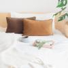 imageMONDAY MOOSE Decorative Throw Pillow Covers Cushion Cases Set of 2 Soft Velvet Modern DoubleSided Designs Mix and Match for Home Decor Pillow Inserts Not Included 14x14 inch OrangeTealBrownBeige