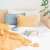 imageMONDAY MOOSE Decorative Throw Pillow Covers Cushion Cases Set of 2 Soft Velvet Modern DoubleSided Designs Mix and Match for Home Decor Pillow Inserts Not Included 14x14 inch OrangeTealBlueBeige