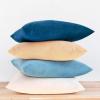Blue/Beige
