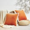 imageMONDAY MOOSE Decorative Throw Pillow Covers Cushion Cases Set of 2 Soft Velvet Modern Fringe Tassel Designs Mix and Match for Home Decor Pillow Inserts Not Included Orange 16x16 inchOrange