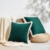 imageMONDAY MOOSE Decorative Throw Pillow Covers Cushion Cases Set of 2 Soft Velvet Modern Fringe Tassel Designs Mix and Match for Home Decor Pillow Inserts Not Included Orange 16x16 inchTeal Green
