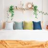 imageMONDAY MOOSE Decorative Throw Pillow Covers Cushion Cases Set of 4 Soft Velvet Modern DoubleSided Designs Mix and Match for Home Decor Pillow Inserts Not Included 16x16 inch OrangeGreenGreenBlue