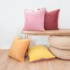 imageMONDAY MOOSE Decorative Throw Pillow Covers Cushion Cases Set of 4 Soft Velvet Modern DoubleSided Designs Mix and Match for Home Decor Pillow Inserts Not Included 16x16 inch OrangeGreenYellowPink
