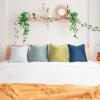 imageMONDAY MOOSE Decorative Throw Pillow Covers Cushion Cases Set of 4 Soft Velvet Modern DoubleSided Designs Mix and Match for Home Decor Pillow Inserts Not Included 16x16 inch OrangeGreenGreenBlue