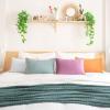 imageMONDAY MOOSE Decorative Throw Pillow Covers Cushion Cases Set of 4 Soft Velvet Modern DoubleSided Designs Mix and Match for Home Decor Pillow Inserts Not Included 16x16 inch OrangeGreenPurpleTeal