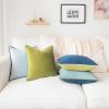 imageMONDAY MOOSE Decorative Throw Pillow Covers Cushion Cases Set of 4 Soft Velvet Modern DoubleSided Designs Mix and Match for Home Decor Pillow Inserts Not Included 16x16 inch OrangeGreenGreenBlue