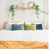imageMONDAY MOOSE Decorative Throw Pillow Covers Cushion Cases Set of 4 Soft Velvet Modern DoubleSided Designs Mix and Match for Home Decor Pillow Inserts Not Included 16x16 inch OrangeGreenGreenBlue