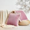 imageMONDAY MOOSE Decorative Throw Pillow Covers Cushion Cases Set of 2 Soft Velvet Modern Fringe Tassel Designs Mix and Match for Home Decor Pillow Inserts Not Included Beige 16x16 inchDusty Pink