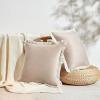 imageMONDAY MOOSE Decorative Throw Pillow Covers Cushion Cases Set of 2 Soft Velvet Modern Fringe Tassel Designs Mix and Match for Home Decor Pillow Inserts Not Included Beige 16x16 inchBeige