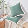 imageMONDAY MOOSE Decorative Throw Pillow Covers Cushion Cases Set of 2 Soft Velvet Modern Fringe Tassel Designs Mix and Match for Home Decor Pillow Inserts Not Included Beige 16x16 inchSea Green