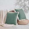imageMONDAY MOOSE Decorative Throw Pillow Covers Cushion Cases Set of 2 Soft Velvet Modern Fringe Tassel Designs Mix and Match for Home Decor Pillow Inserts Not Included Powder Blue 18x18 inchSea Green