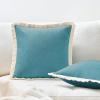 imageMONDAY MOOSE Decorative Throw Pillow Covers Cushion Cases Set of 2 Soft Velvet Modern Fringe Tassel Designs Mix and Match for Home Decor Pillow Inserts Not Included Powder Blue 18x18 inchTeal Blue