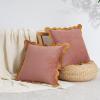 imageMONDAY MOOSE Decorative Throw Pillow Covers Cushion Cases Set of 2 Soft Velvet Scalloped Wavy Edge Designs Mix and Match for Home Decor Pillow Inserts Not Included HoneyPink 18x18 inchHoneyPink