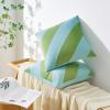 image:imageMONDAY MOOSE Decorative Throw Pillow Covers Cushion Cases Set of 2 Soft Velvet Diagonal Striped Designs Pillow Inserts Not Included 18x18 inch RustCoralLight GreenLight Blue