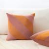image:imageMONDAY MOOSE Decorative Throw Pillow Covers Cushion Cases Set of 2 Soft Velvet Diagonal Striped Designs Pillow Inserts Not Included 18x18 inch RustCoralPinkHoney