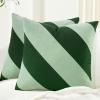 image:imageMONDAY MOOSE Decorative Throw Pillow Covers Cushion Cases Set of 2 Soft Velvet Diagonal Striped Designs Pillow Inserts Not Included 18x18 inch RustCoralGreenLight Green