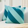 image:imageMONDAY MOOSE Decorative Throw Pillow Covers Cushion Cases Set of 2 Soft Velvet Diagonal Striped Designs Pillow Inserts Not Included 18x18 inch RustCoralBlueLight Blue