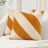 image:imageMONDAY MOOSE Decorative Throw Pillow Covers Cushion Cases Set of 2 Soft Velvet Diagonal Striped Designs Pillow Inserts Not Included 18x18 inch RustCoralHoneyCream