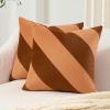 image:imageMONDAY MOOSE Decorative Throw Pillow Covers Cushion Cases Set of 2 Soft Velvet Diagonal Striped Designs Pillow Inserts Not Included 18x18 inch RustCoralRustCoral